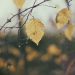Depressão em Idoso