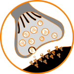 Alzheimer, memantina, glutamato