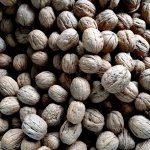 Nozes para Idosos contra o cancer de intestino