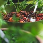 Idoso deve consumir proteína
