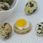 anorexia na terceira idade