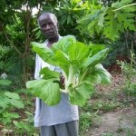 escolher atividades para a terceira idade