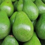 Nutracêuticos