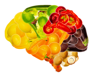 Desenho de cérebro formado de alimentos audáveis.
