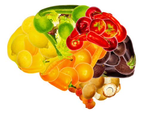 Desenho de cérebro formado de alimentos audáveis.
